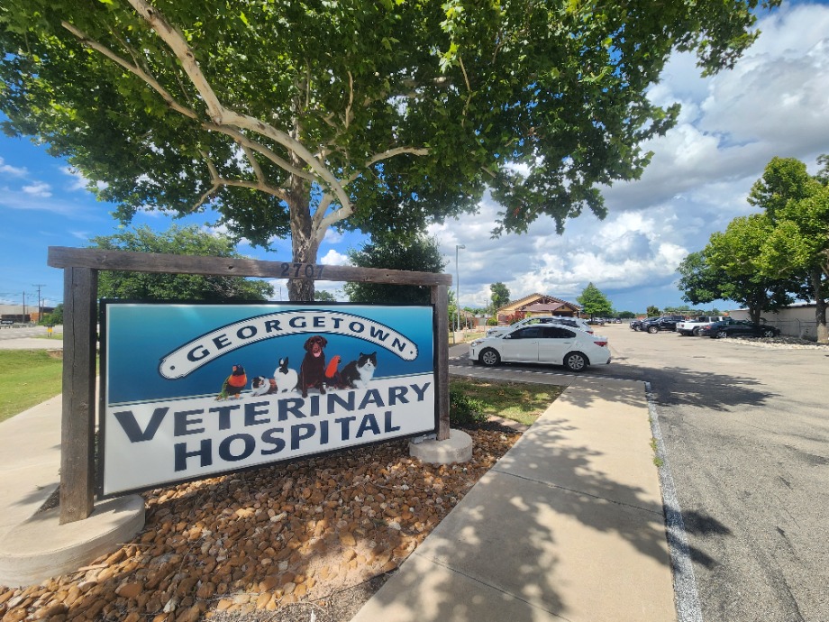 Georgetown Veterinary Hospital Aquamation Texas 