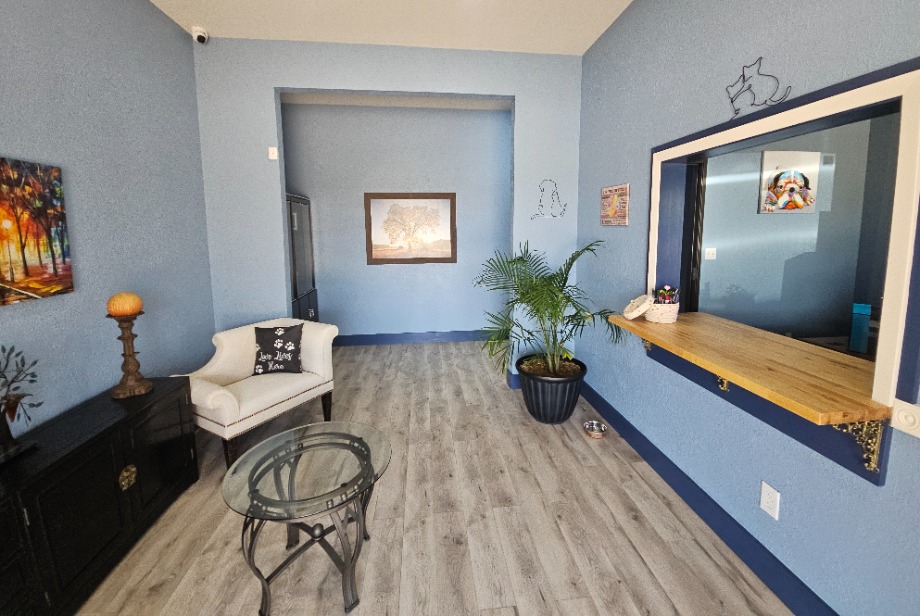 Carlson Pet Memorial Aquamation Center Aquamation Texas 