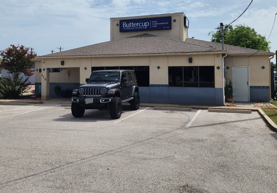 Buttercup Veterinary Hospital Aquamation Texas 