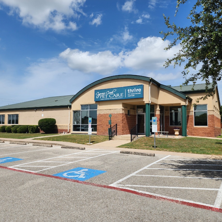 Cypress Creek Pet Care, A Thrive Pet Healthcare Partner Aquamation Texas 