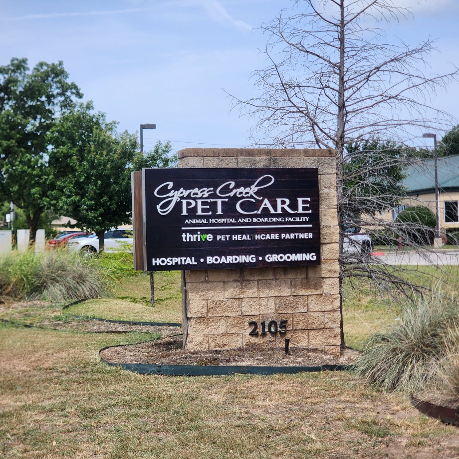 Cypress Creek Pet Care, A Thrive Pet Healthcare Partner Aquamation Texas 