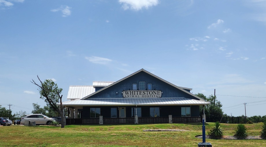 Whitestone Animal Hospital Aquamation Texas 