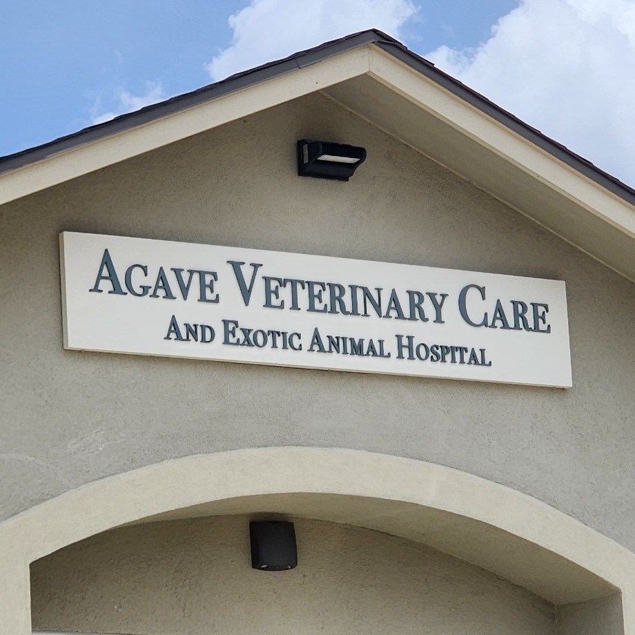 Agave Vet Care  Exotic Animal Hospital Aquamation Texas 