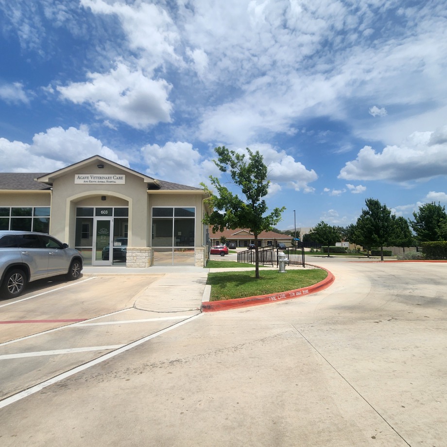 Agave Vet Care  Exotic Animal Hospital Aquamation Texas 