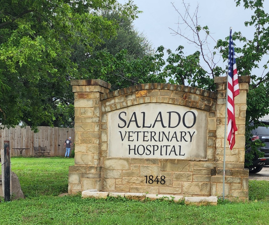 Urgent Pet Care