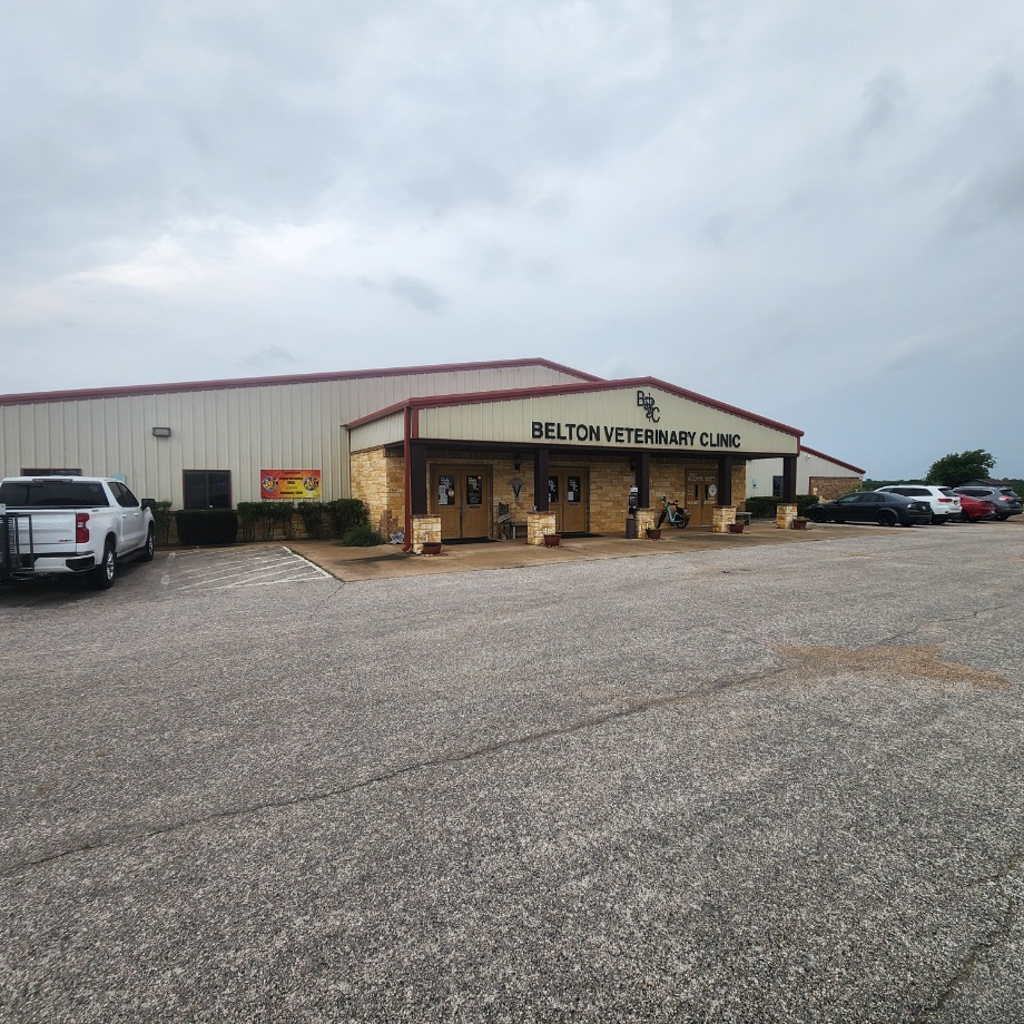 Belton Veterinary Clinic Aquamation Texas 