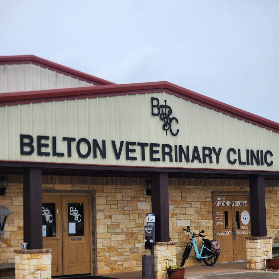 Belton Veterinary Clinic Aquamation Texas 