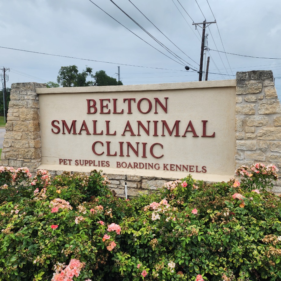 Belton Small Animal Clinic Aquamation Texas 