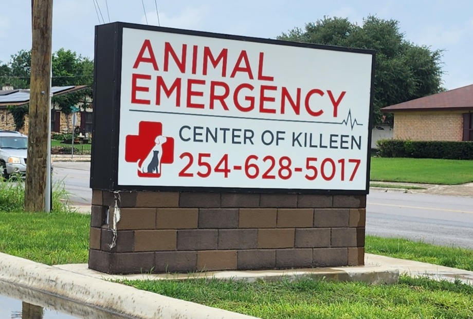 Animal Emergencyt