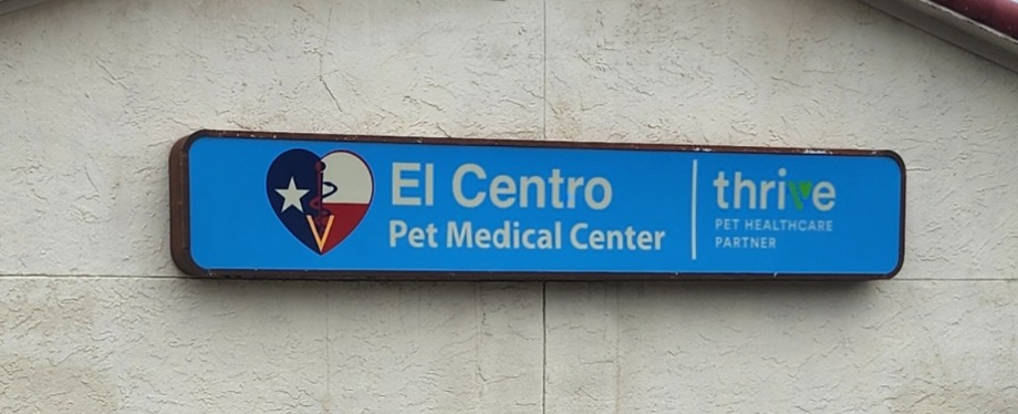 El Centro Pet Medical Center, A Thrive Pet Healthcare Partner Aquamation Texas 