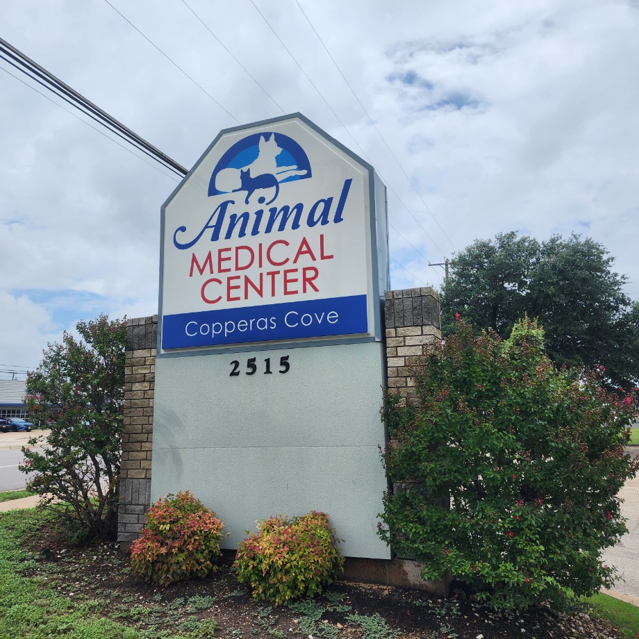 Animal Medical Center Copperas Cove Aquamation Texas 