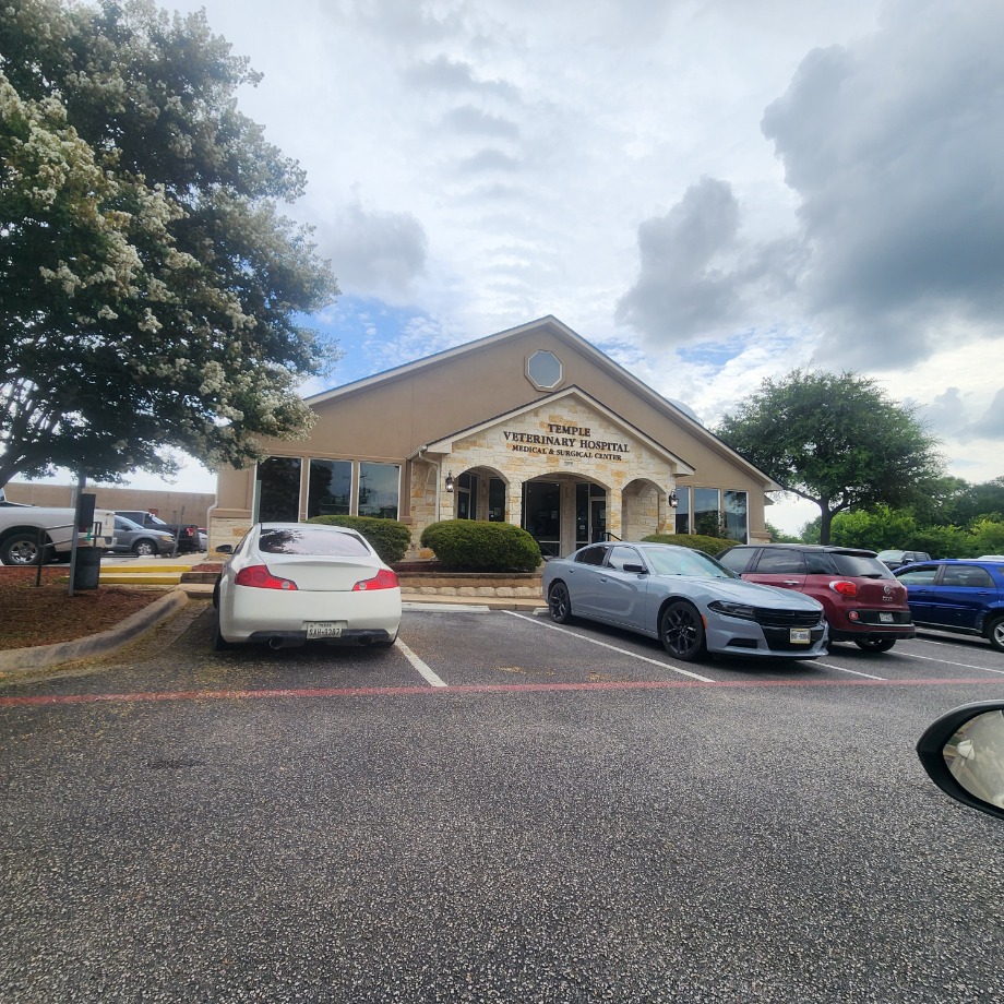 Temple Veterinary Hospital Medical and Surgical Center Aquamation Texas 