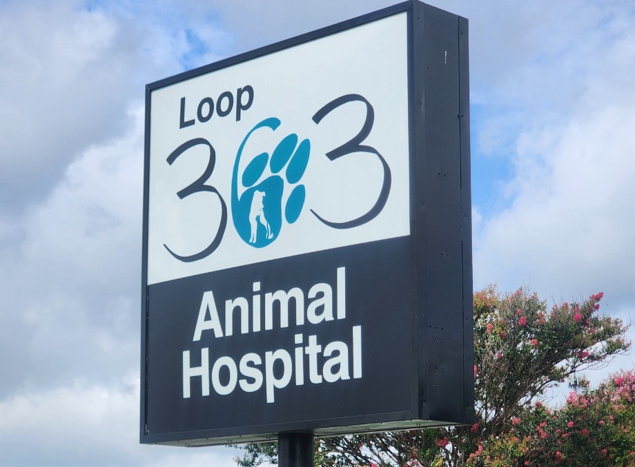 Loop 363 Animal Hospital Aquamation Texas 