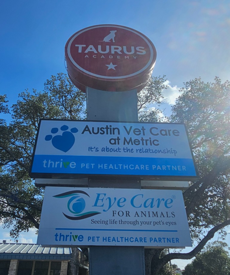 Eye Care for Animals - Austin Aquamation Texas 