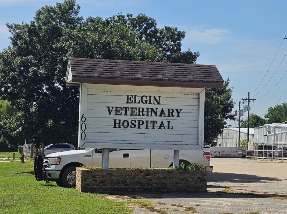 Elgin Veterinary Hospital, A Thrive Pet Healthcare Partner Aquamation Texas 