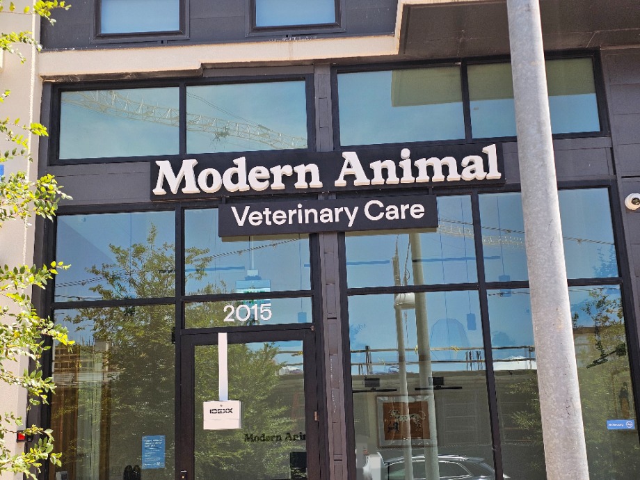 Modern Animal Aquamation Texas 