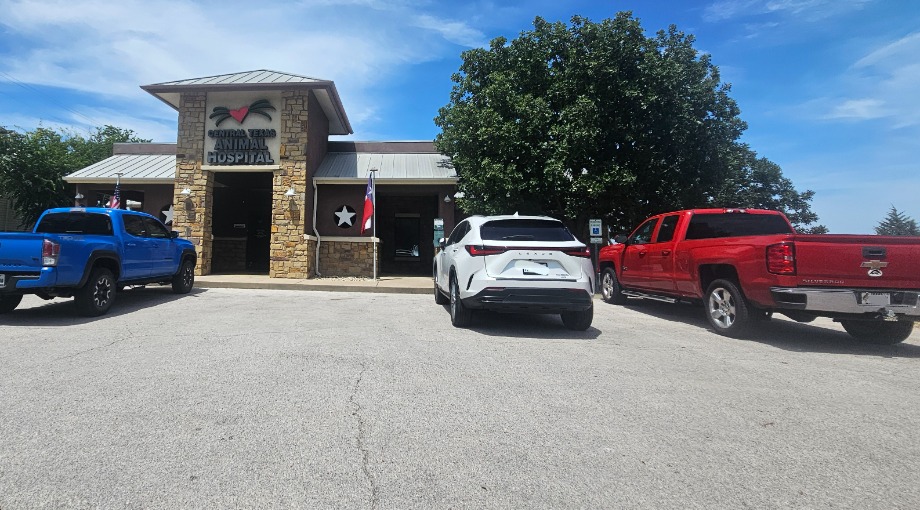Central Texas Animal Hospital Aquamation Texas 