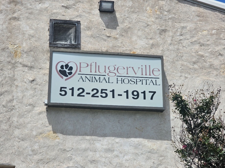 Pflugerville Animal Hospital Aquamation Texas 