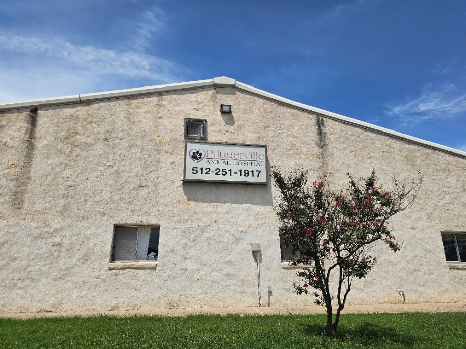 Pflugerville Animal Hospital Aquamation Texas 