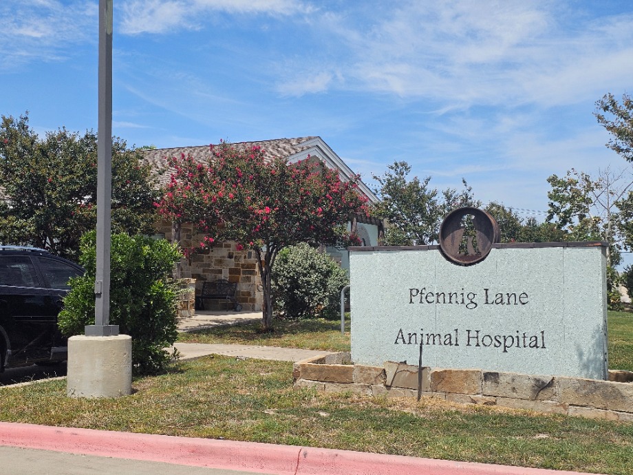 Pfennig Lane Animal Hospital Aquamation Texas 