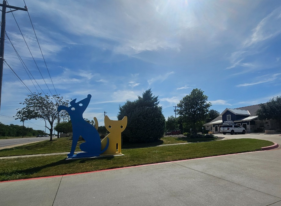 Sage Veterinary Imaging - Round Rock Aquamation Texas 