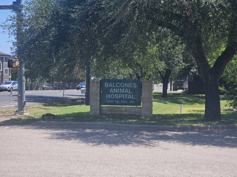 Balcones Animal Hospital Inc Aquamation Texas 