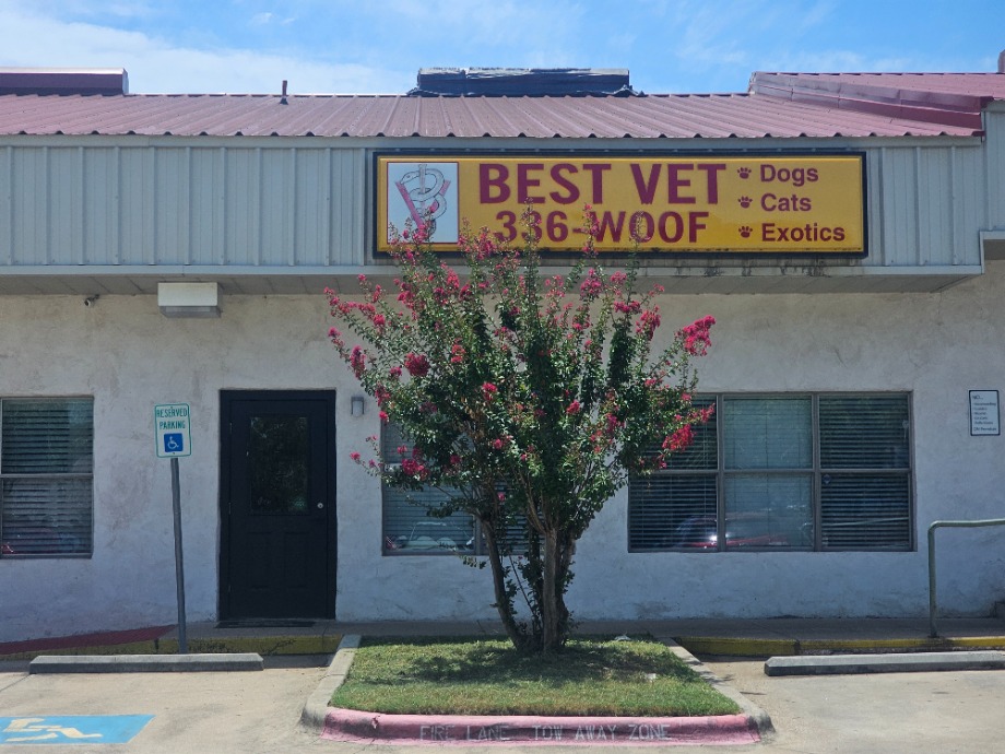 Best Vet Aquamation Texas 