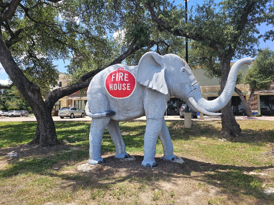 Firehouse Animal Health Center 183 Aquamation Texas 