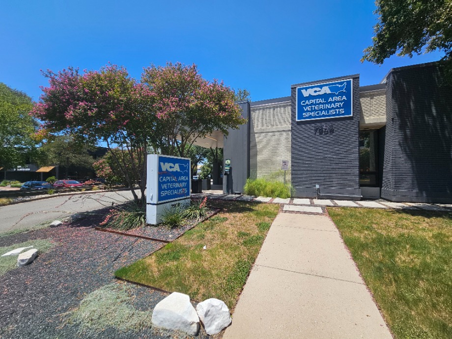 VCA Capital Area Veterinary Specialists Aquamation Texas 