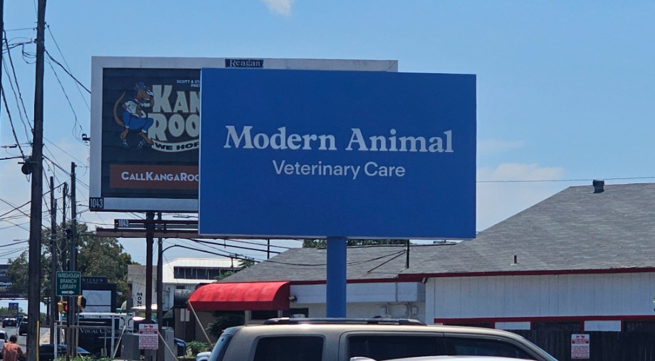 Modern Animal -Austin Aquamation Texas 