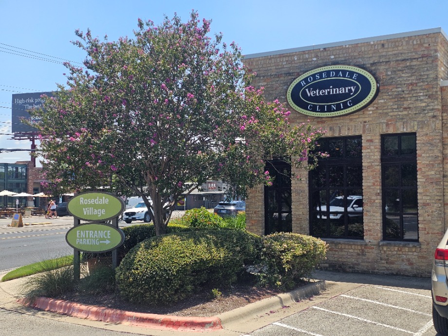 Rosedale Veterinary Clinic Aquamation Texas 