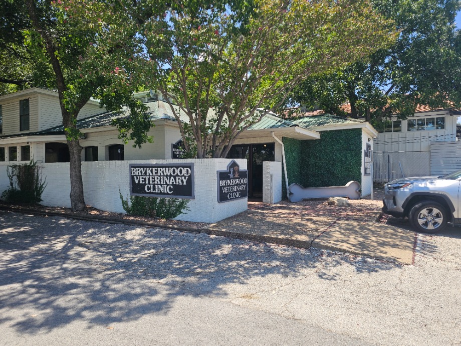 Brykerwood Veterinary Clinic Aquamation Texas 