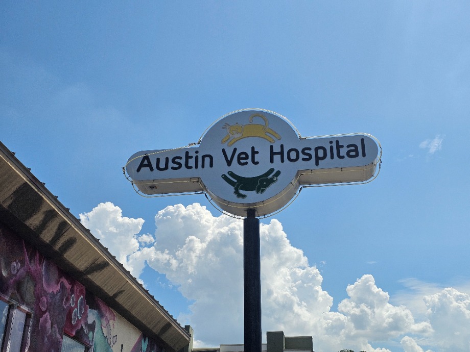 Austin Vet Hospital Aquamation Texas 
