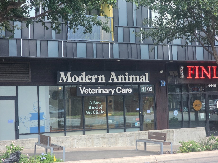 Modern Animal  Aquamation Texas 