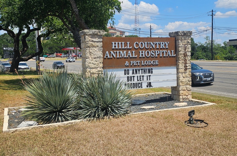 Hill Country Animal Hospital Aquamation Texas 