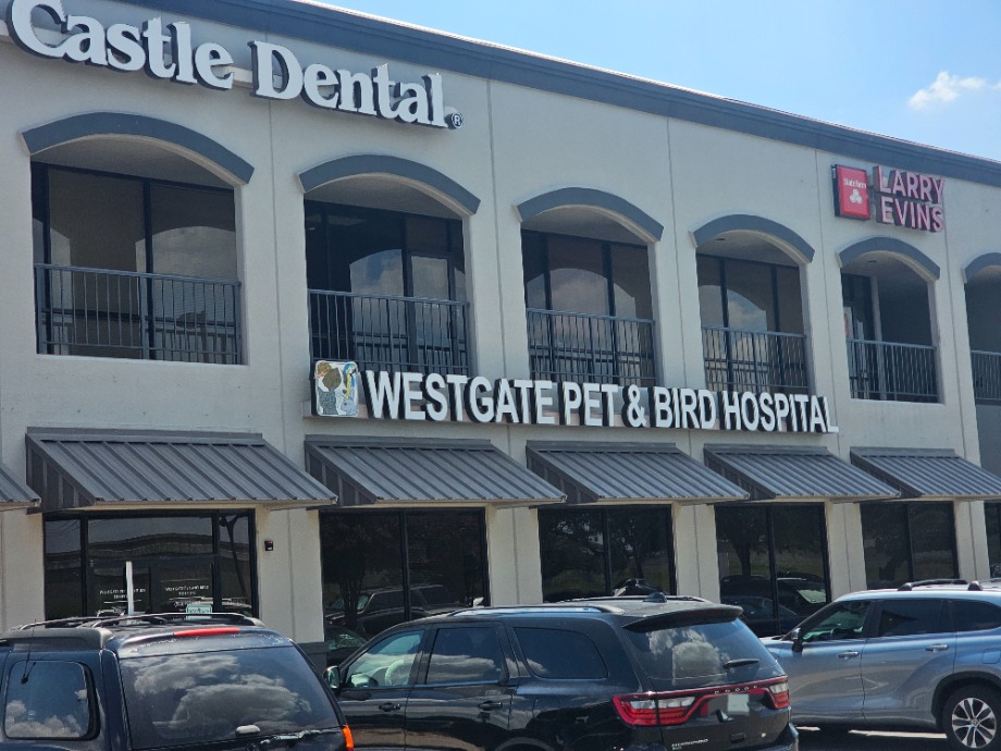 Westgate Pet  Bird Hospital Aquamation Texas 