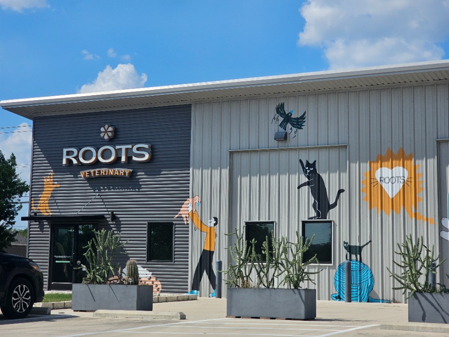 Pet Veterinary Care