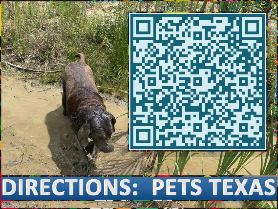 Roots Integrative Veterinary Care Directions To Pets Texas Pet Services 