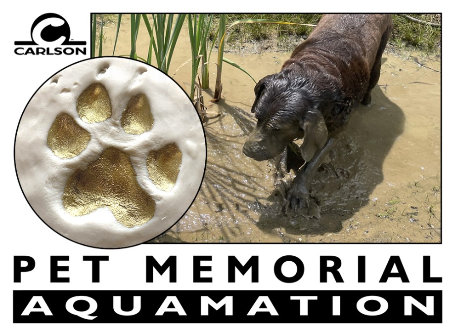 Pet Aquamation 151 Pounds to 200 Pounds Aquamation Texas 