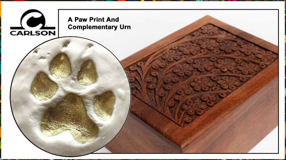 Aquamation For Pets 25 lbs Or Under Aquamation Texas 