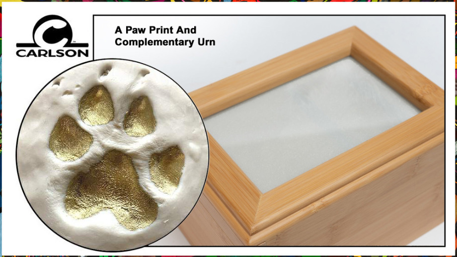 Aquamation For Pets 25 lbs Or Under Aquamation Texas 