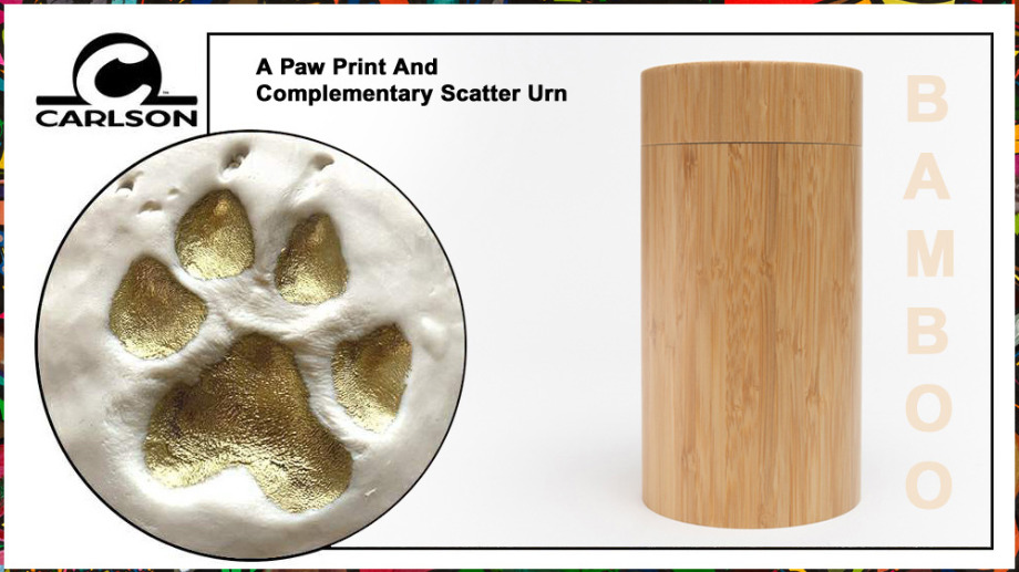 Aquamation For Pets 25 lbs Or Under Aquamation Texas 