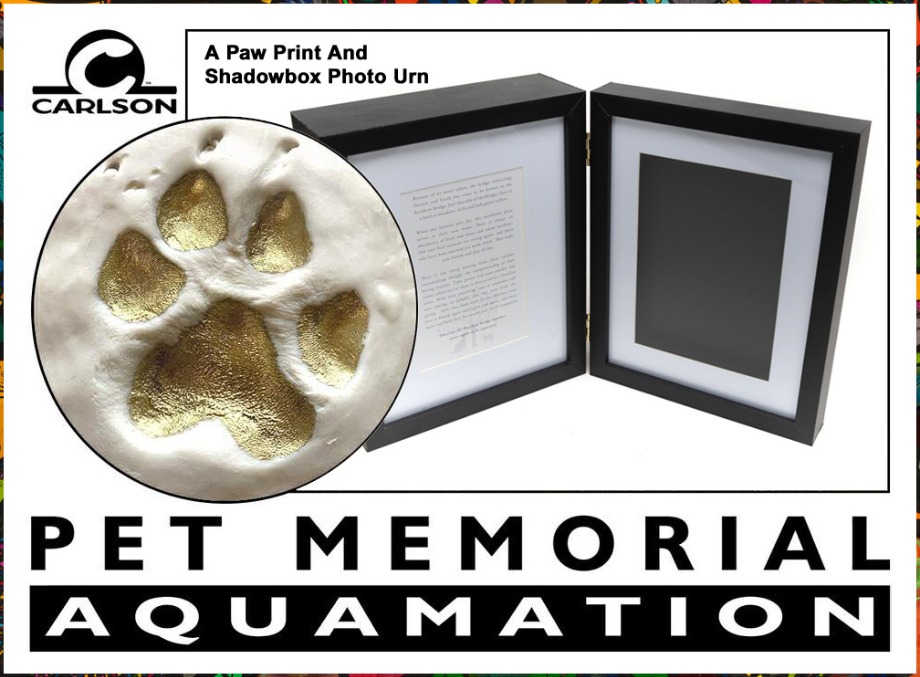 Aquamation For Pets 100 lbs Or Under Aquamation Texas 