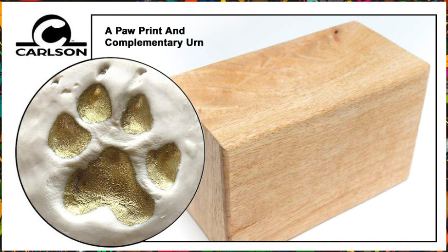 Pet Aquamation for a pet 25lbs or less Aquamation Texas 