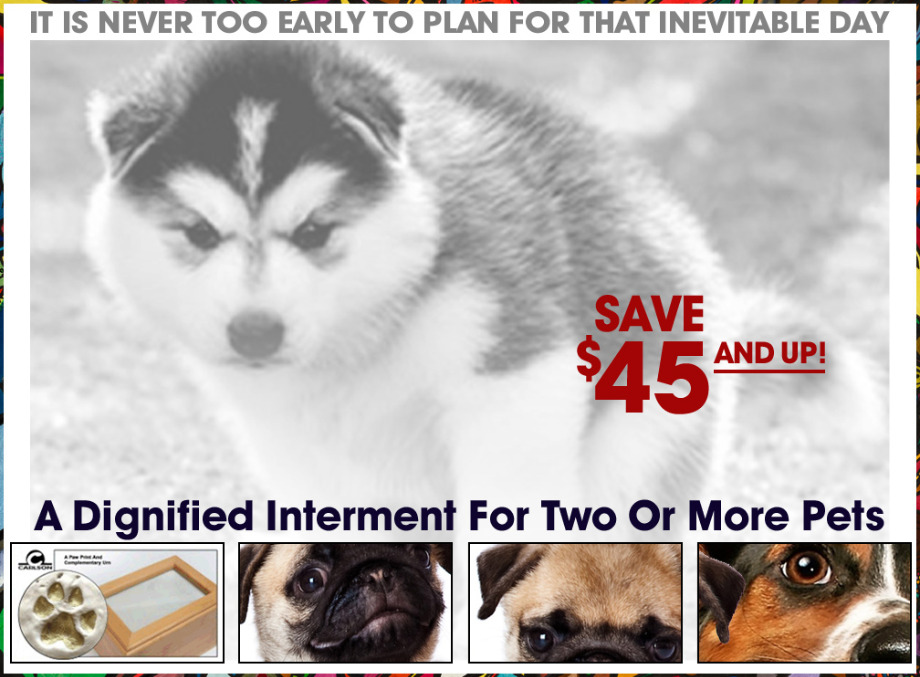 Plan And Save 45 Dollars On Two Or More. Aquamation Texas 