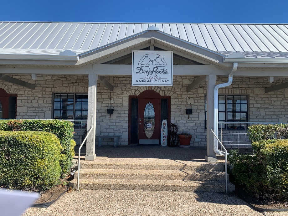Deep Roots Animal Hospital Pet Services Texas 