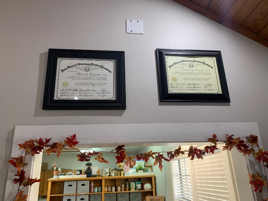 Deep Roots Animal Clinic Pet Services Texas 