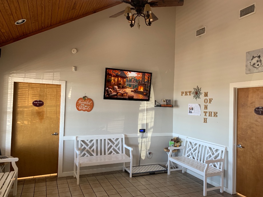 Deep Roots Animal Clinic Pet Services Texas 