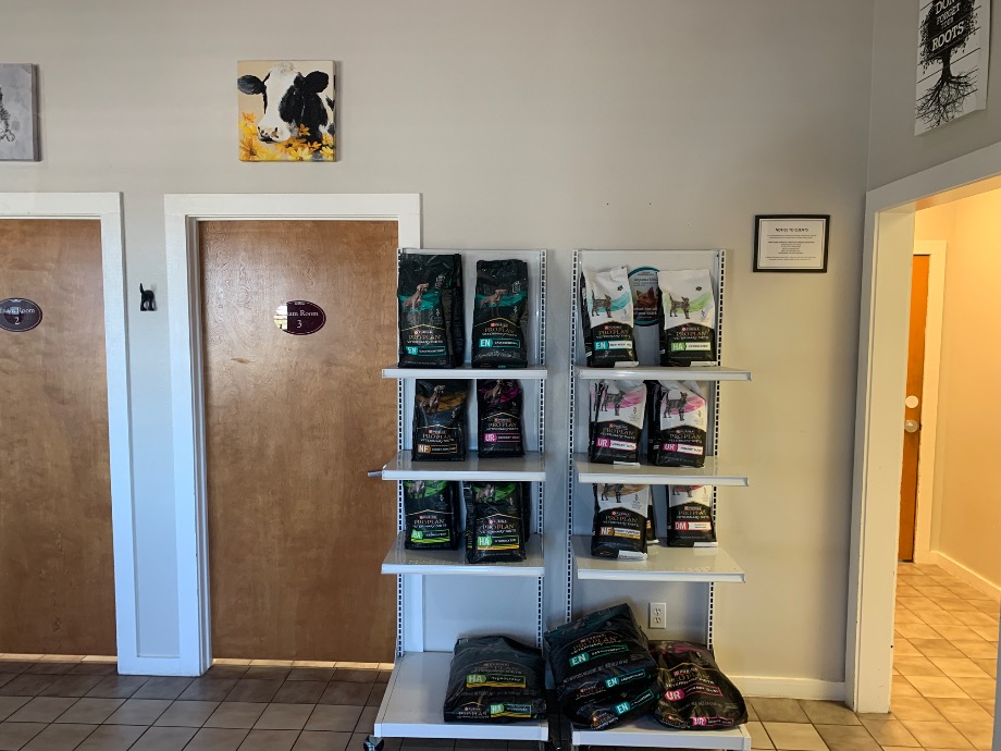 Deep Roots Animal Clinic Pet Services Texas 