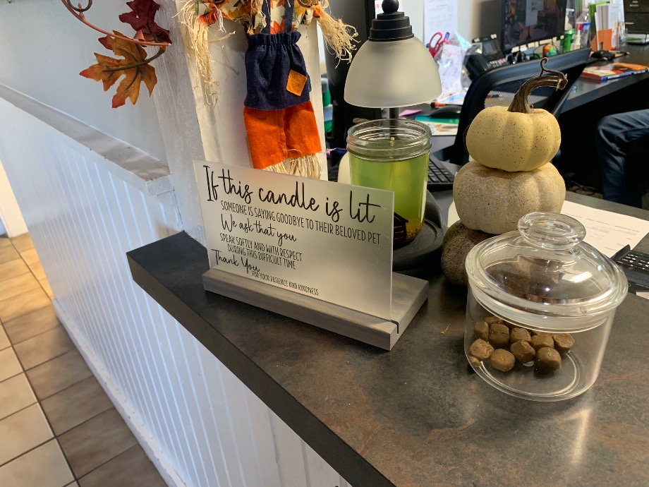 Deep Roots Animal Clinic Pet Services Texas 